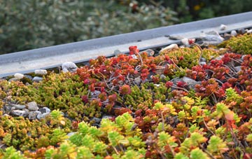 the cost of Darowen green roof installation