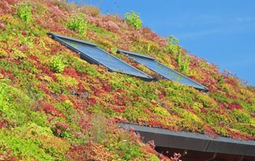 Darowen living roof systems
